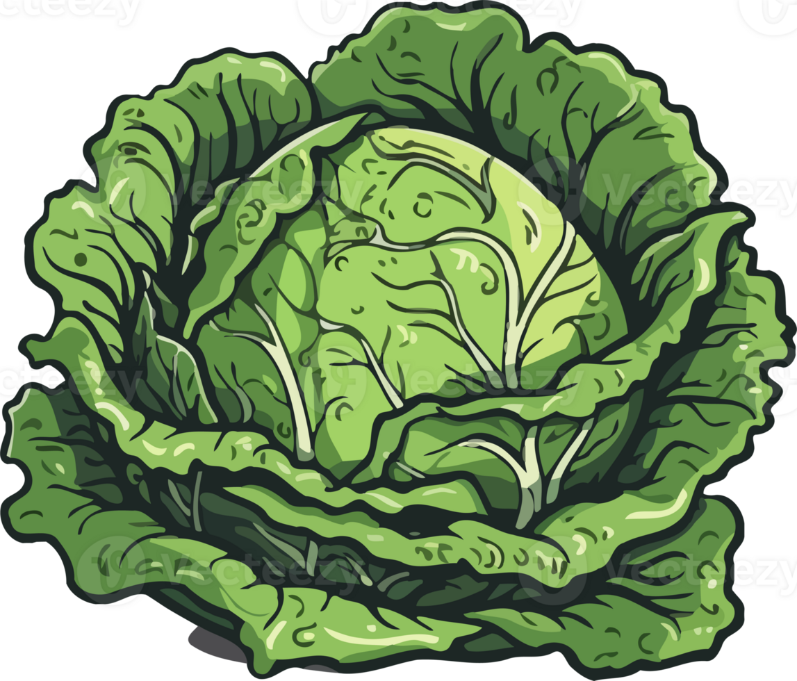 A cartoon cabbage on a black background png