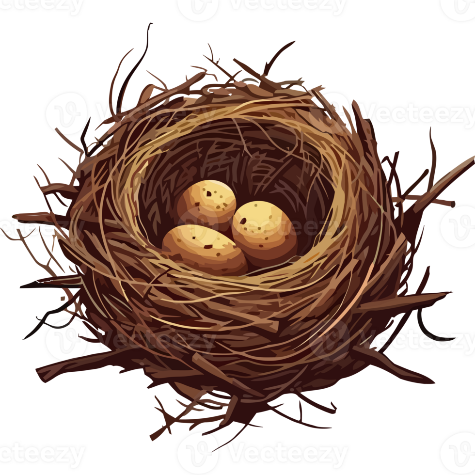 A bird nest with three eggs inside png