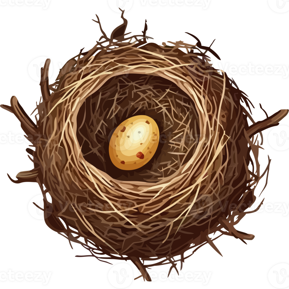 A bird's nest with an egg inside png