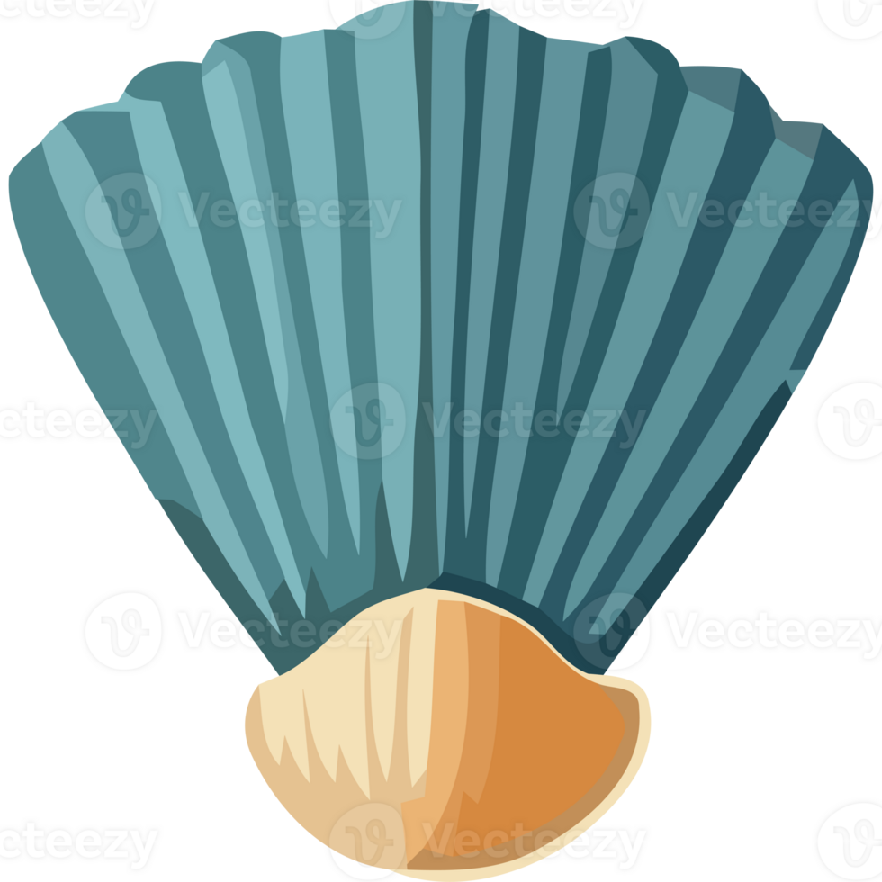 A blue shell with a shell on it png