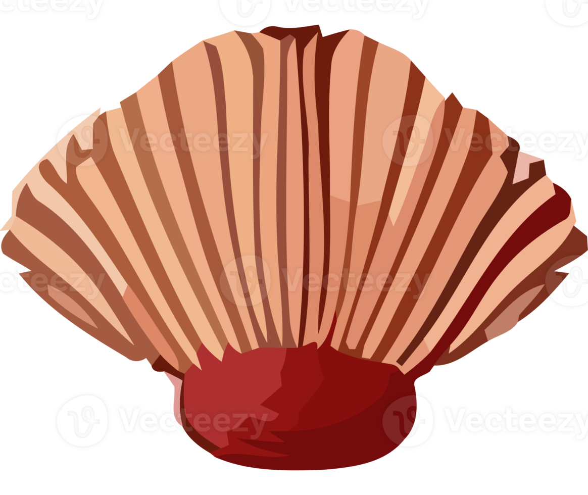 A shell with a red center on a black background png