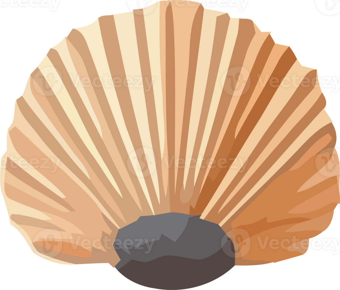 An illustration of a shell on a black background png