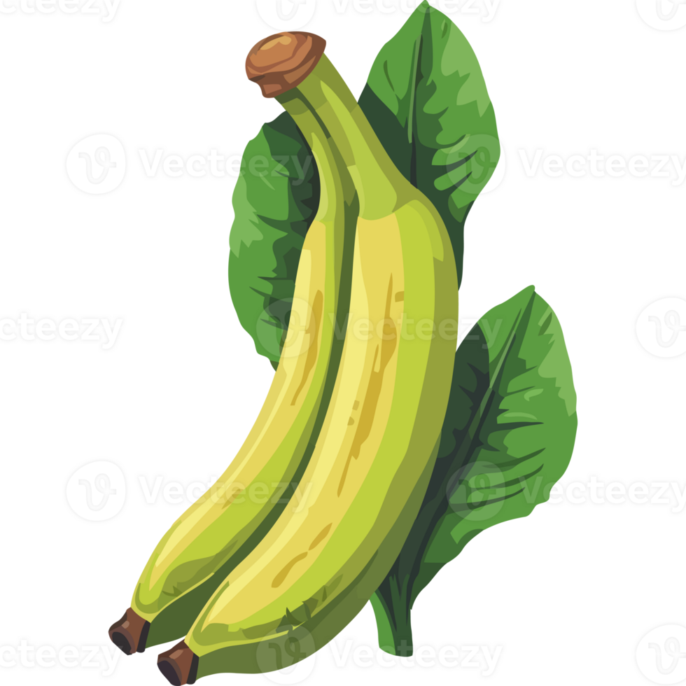 Bananas with leaves on a black background png