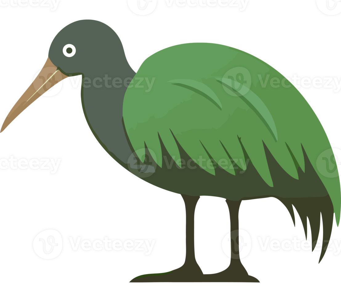 A green bird with long beak and long legs png