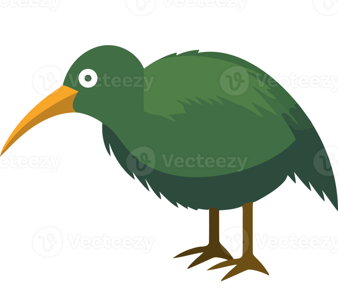 A green bird with a long beak png