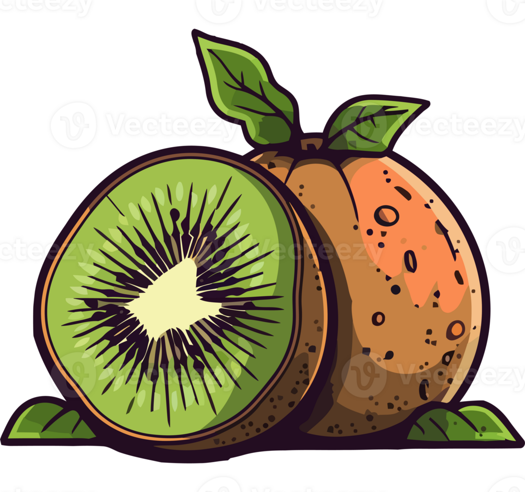 Kiwi fruit illustration png