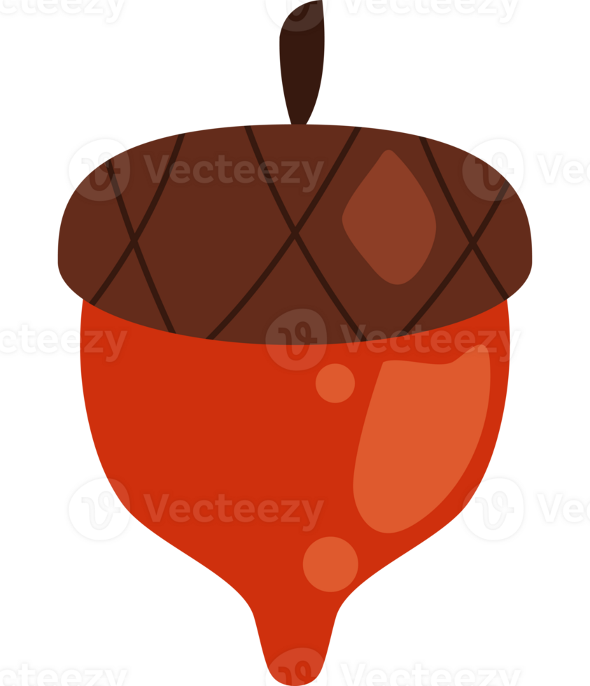 An acorn with a brown shell and brown leaves png