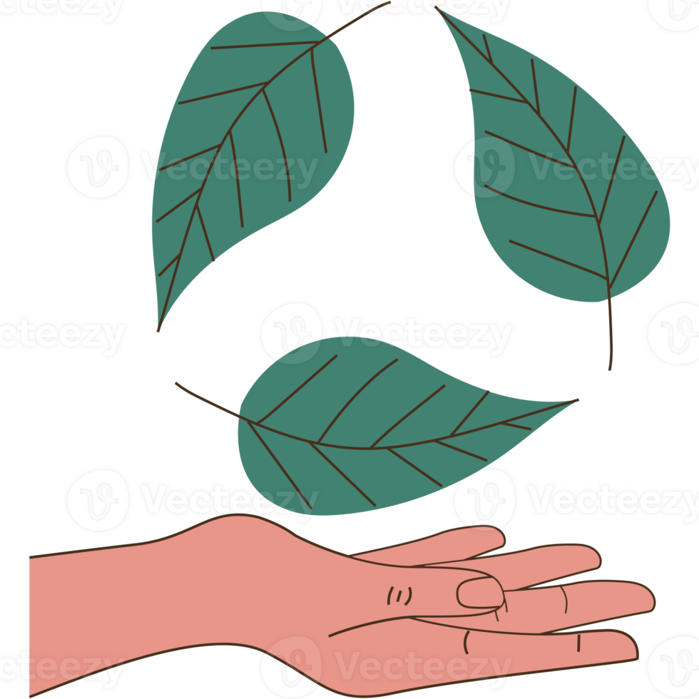 A hand holding a leaf and a recycling symbol png