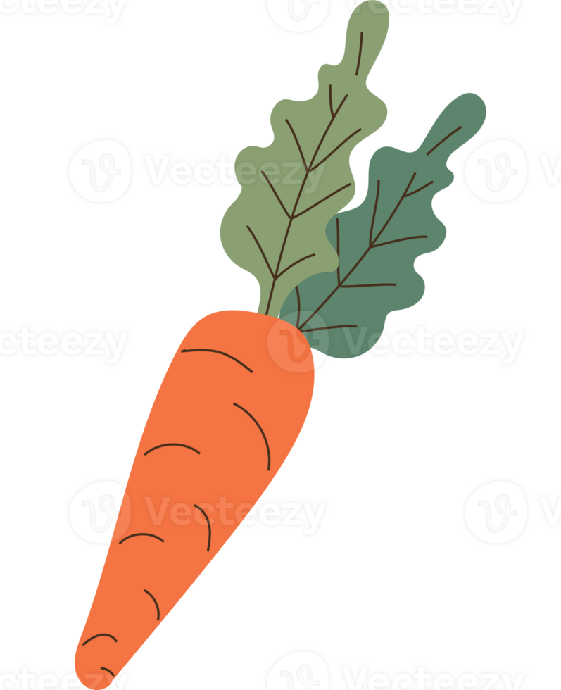 Carrot icon with leaves on it png