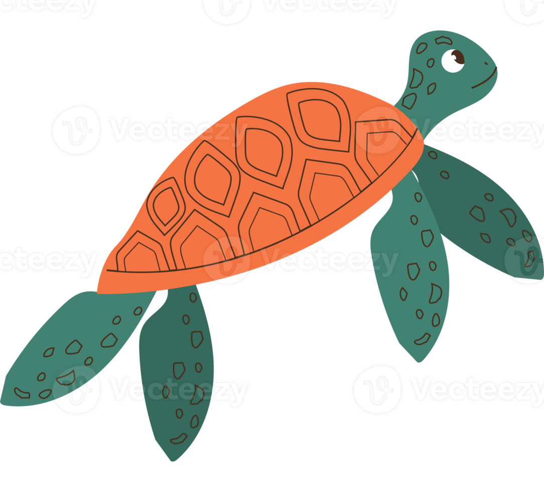 Sea turtle clipart png