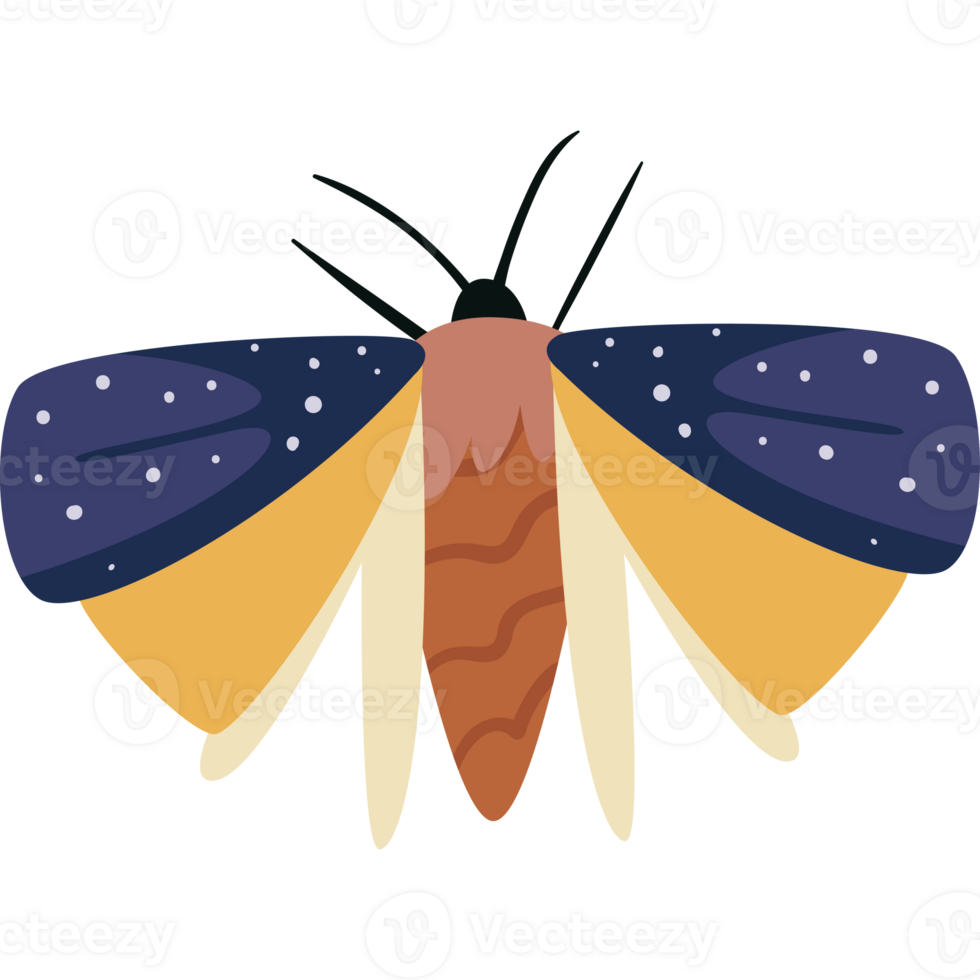 A moth with a yellow and blue body png