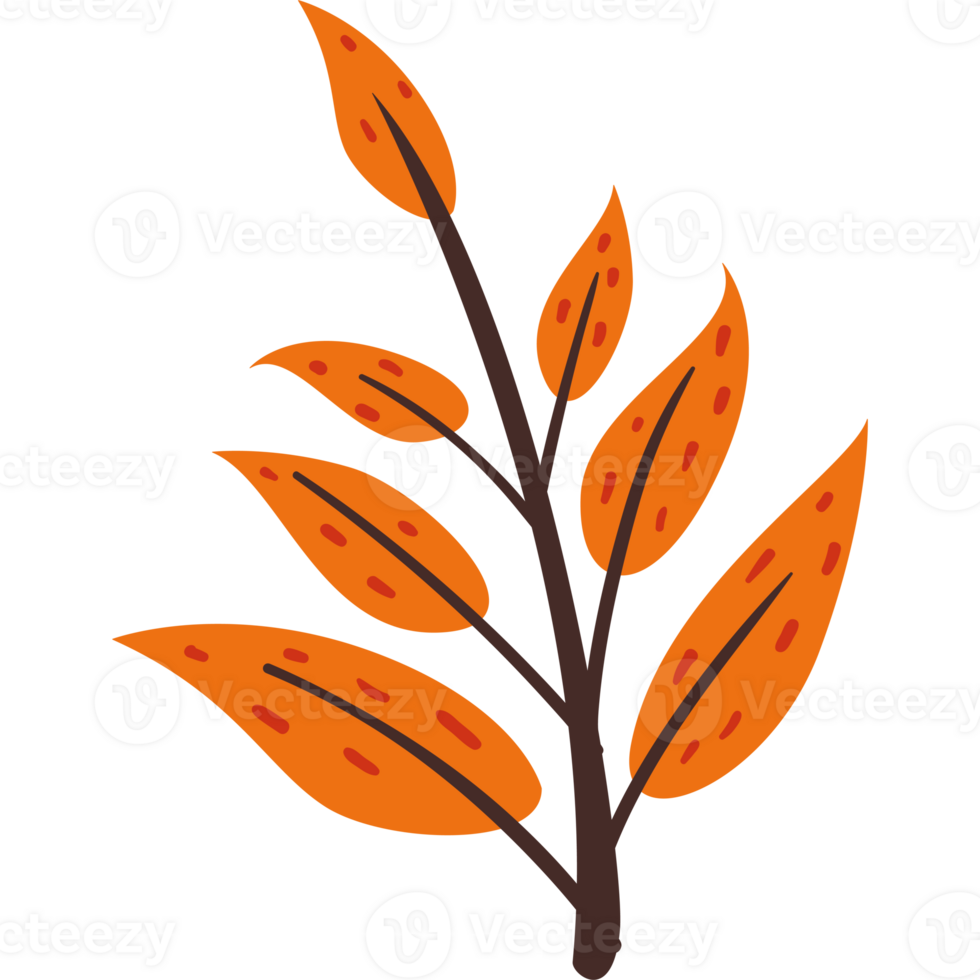 Autumn leaves clipart png
