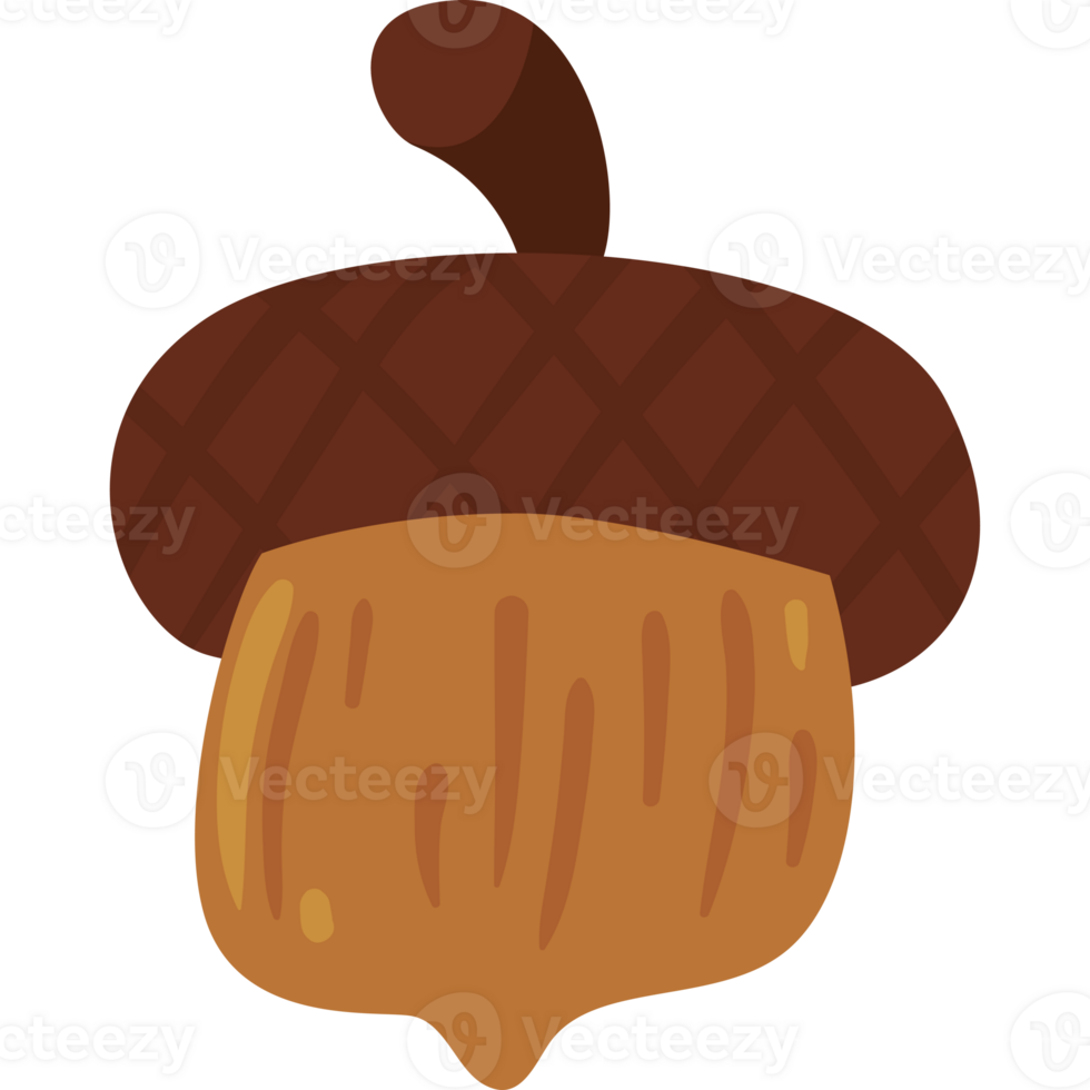 An acorn is shown on a black background png