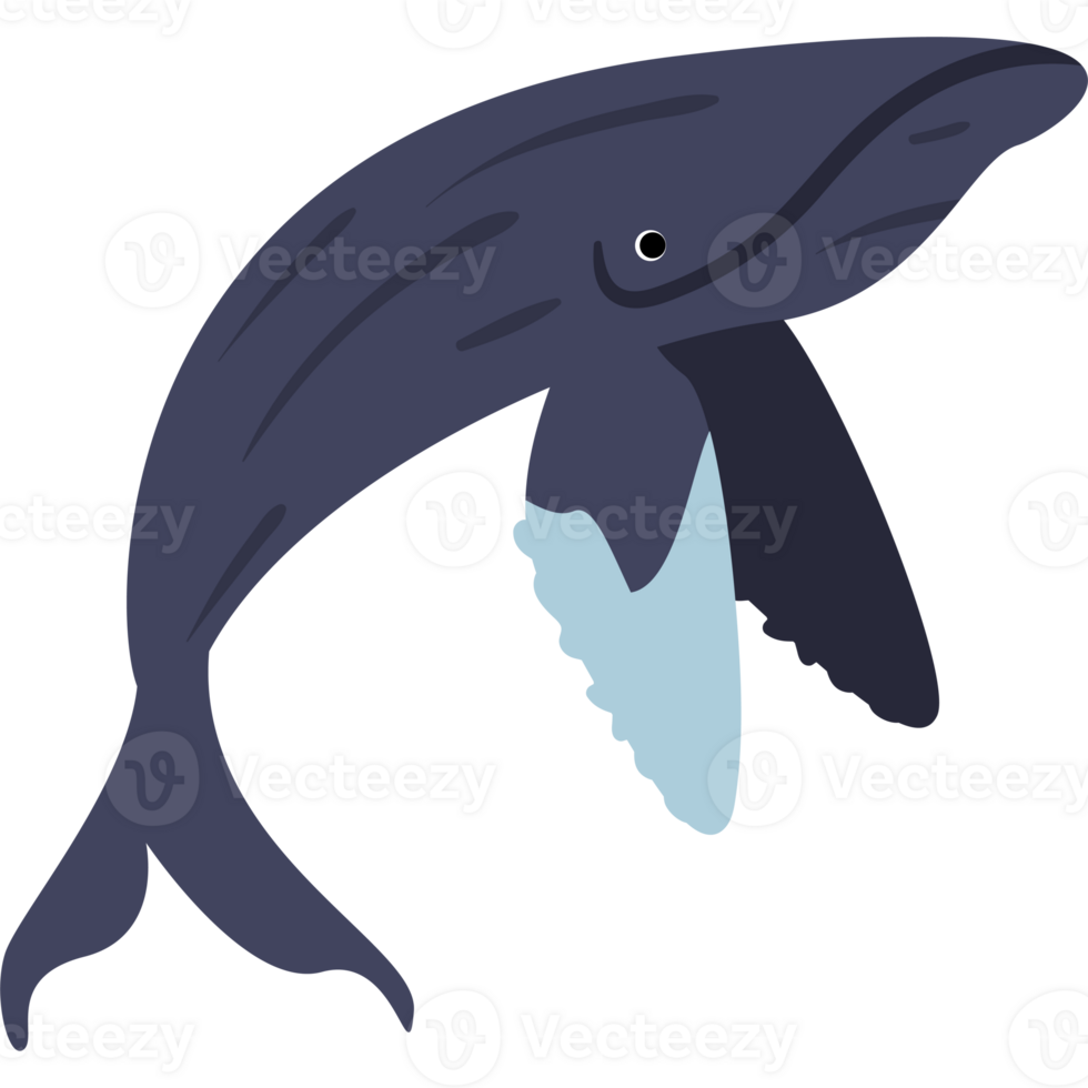 A blue whale with a long tail and a long neck png