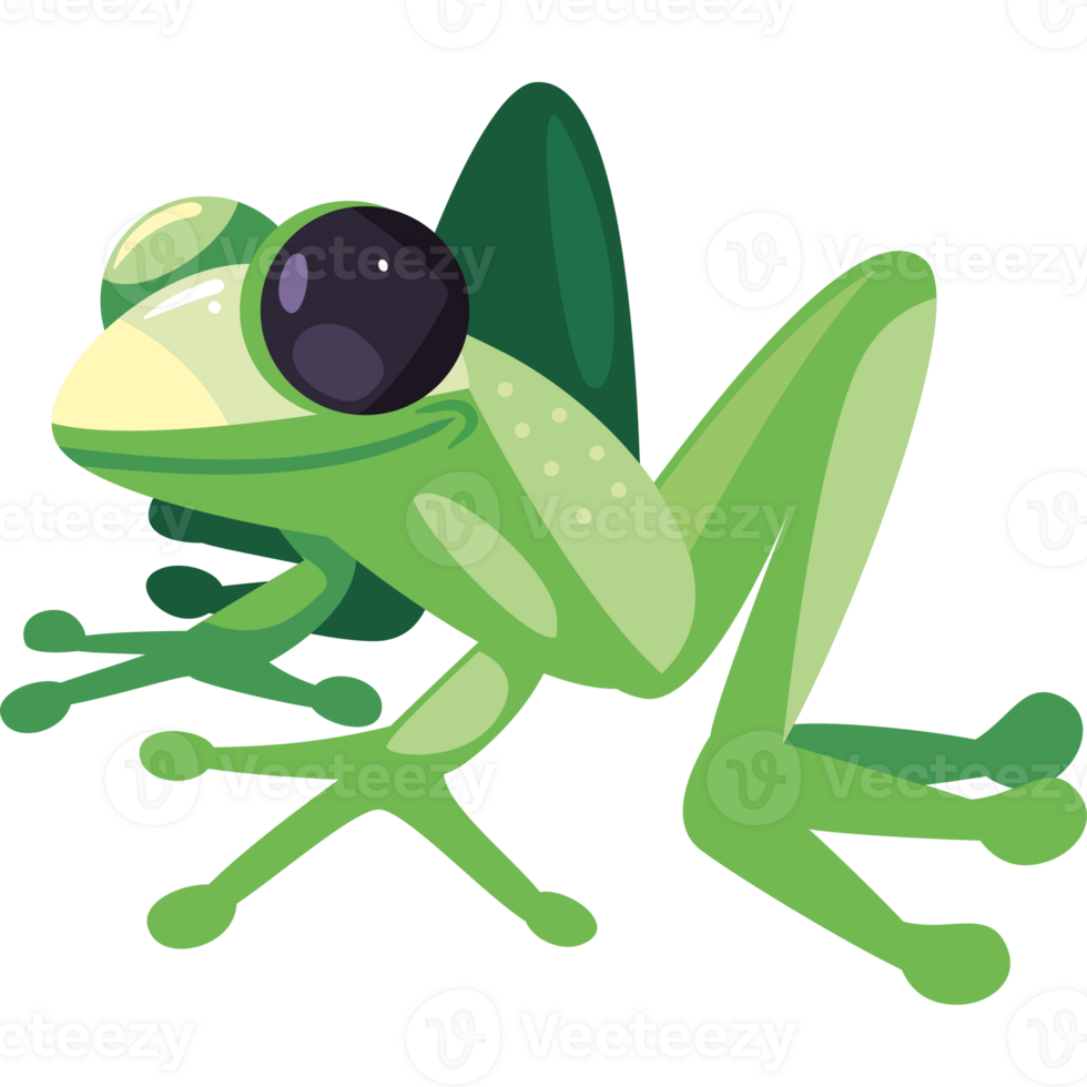 Frog clipart free download png