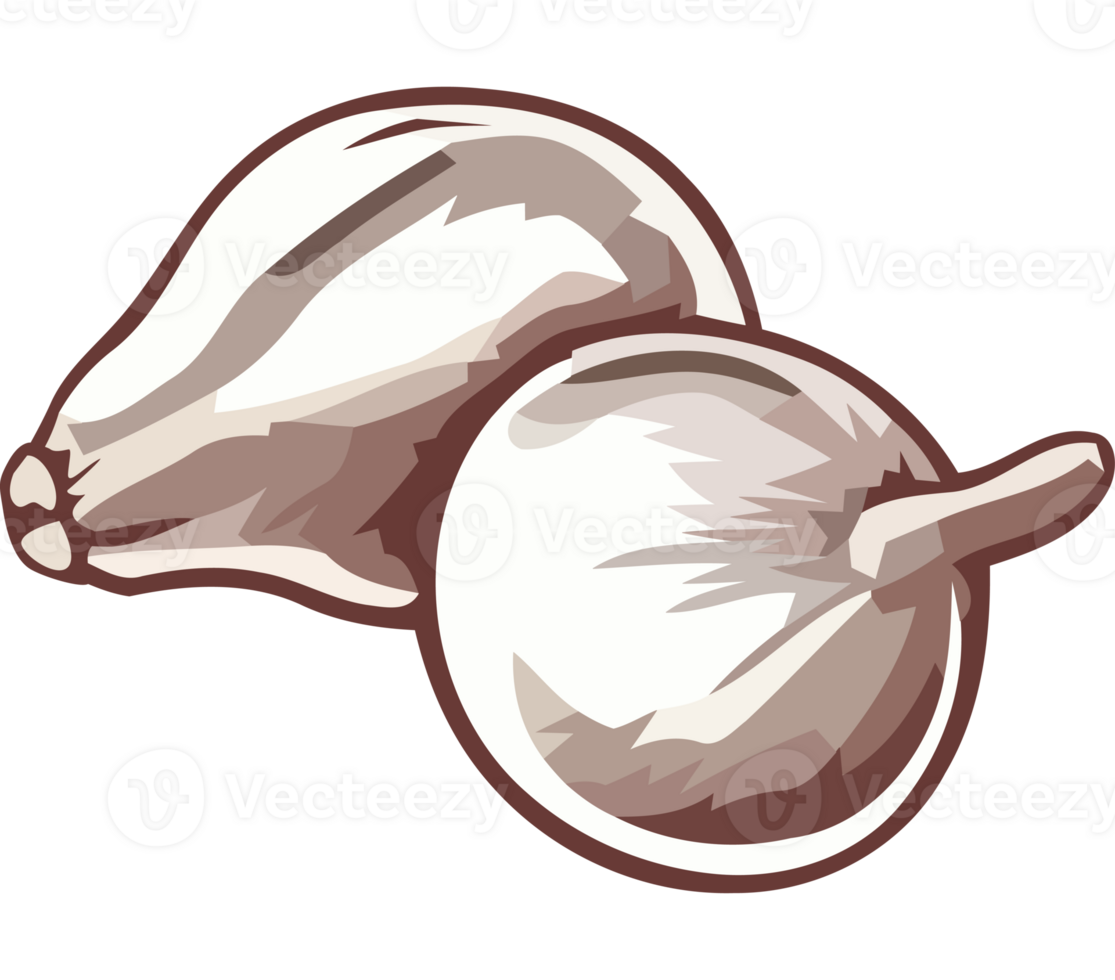 Two garlic cloves on a black background png
