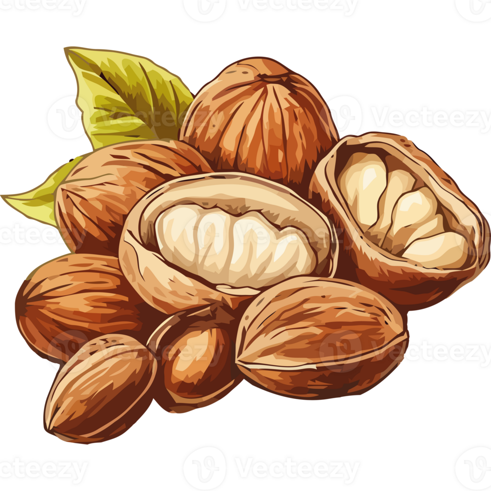 Nuts with leaves and shells on a black background png