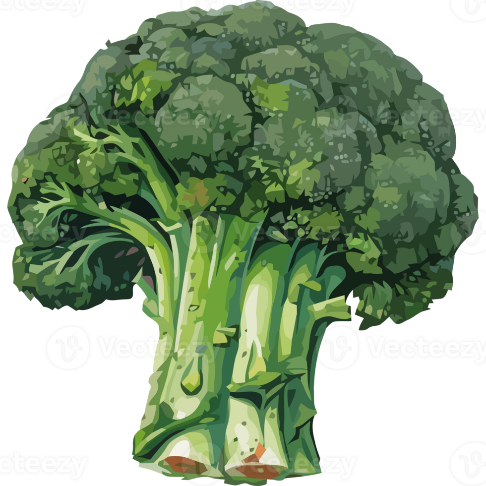 A broccoli head is shown on a black background png