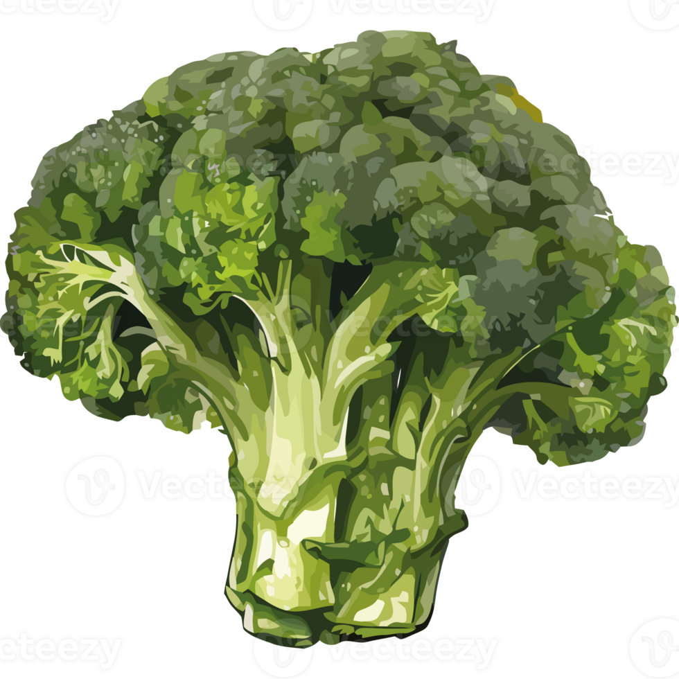 A broccoli head is shown on a black background png