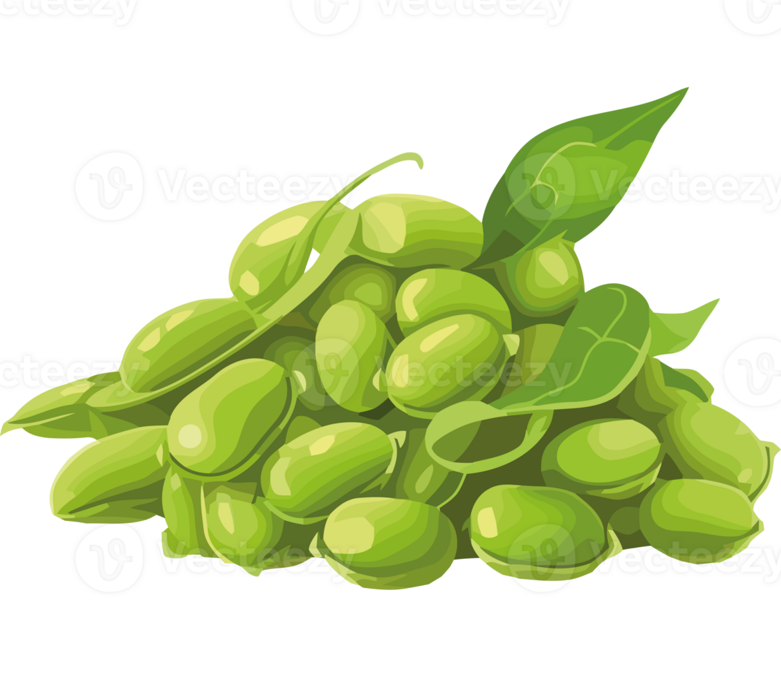 A pile of green beans with leaves png