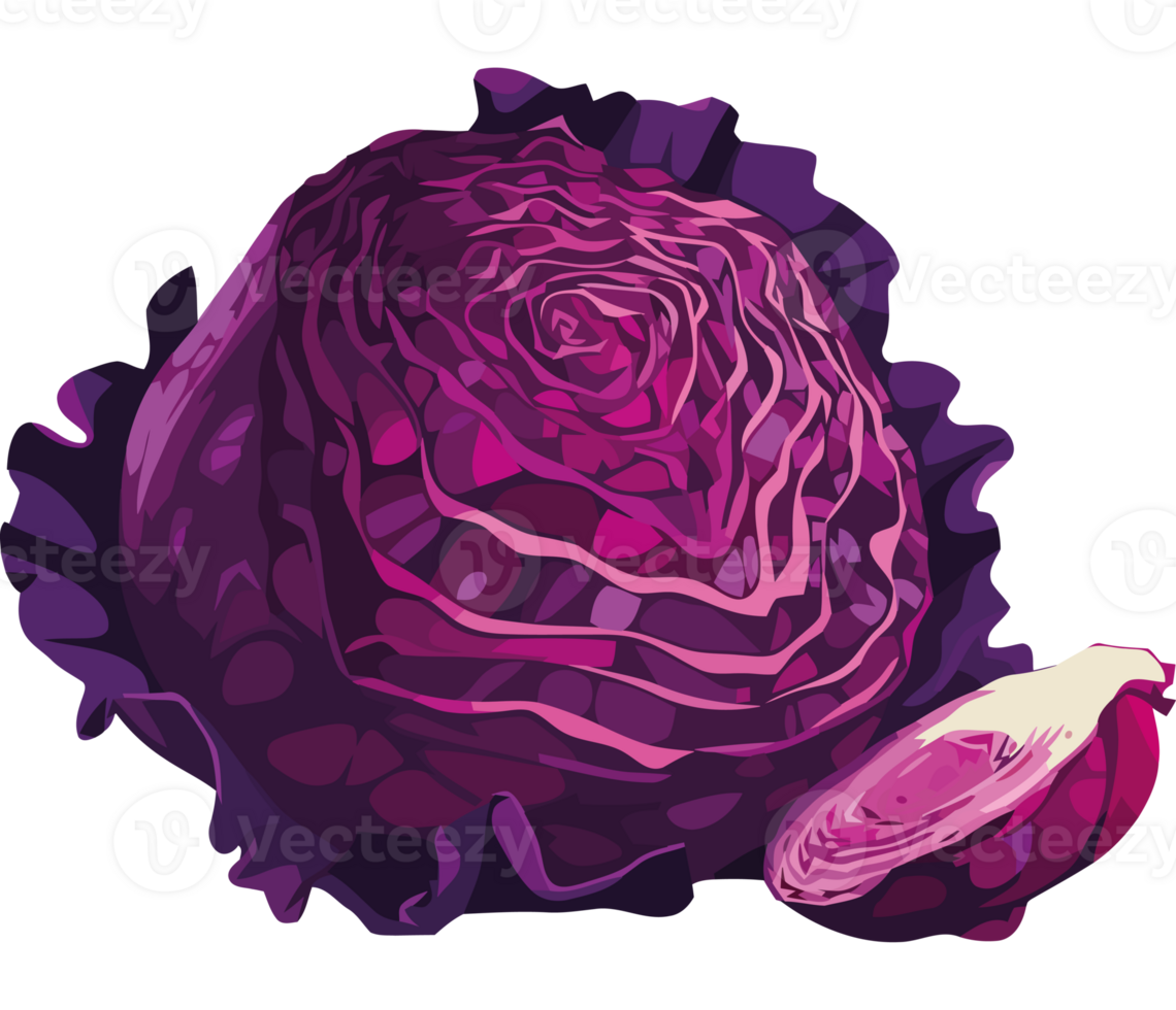 A purple cabbage is shown on a black background png