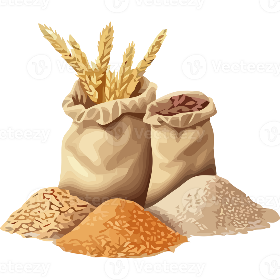 Grain and wheat in bags on a black background png