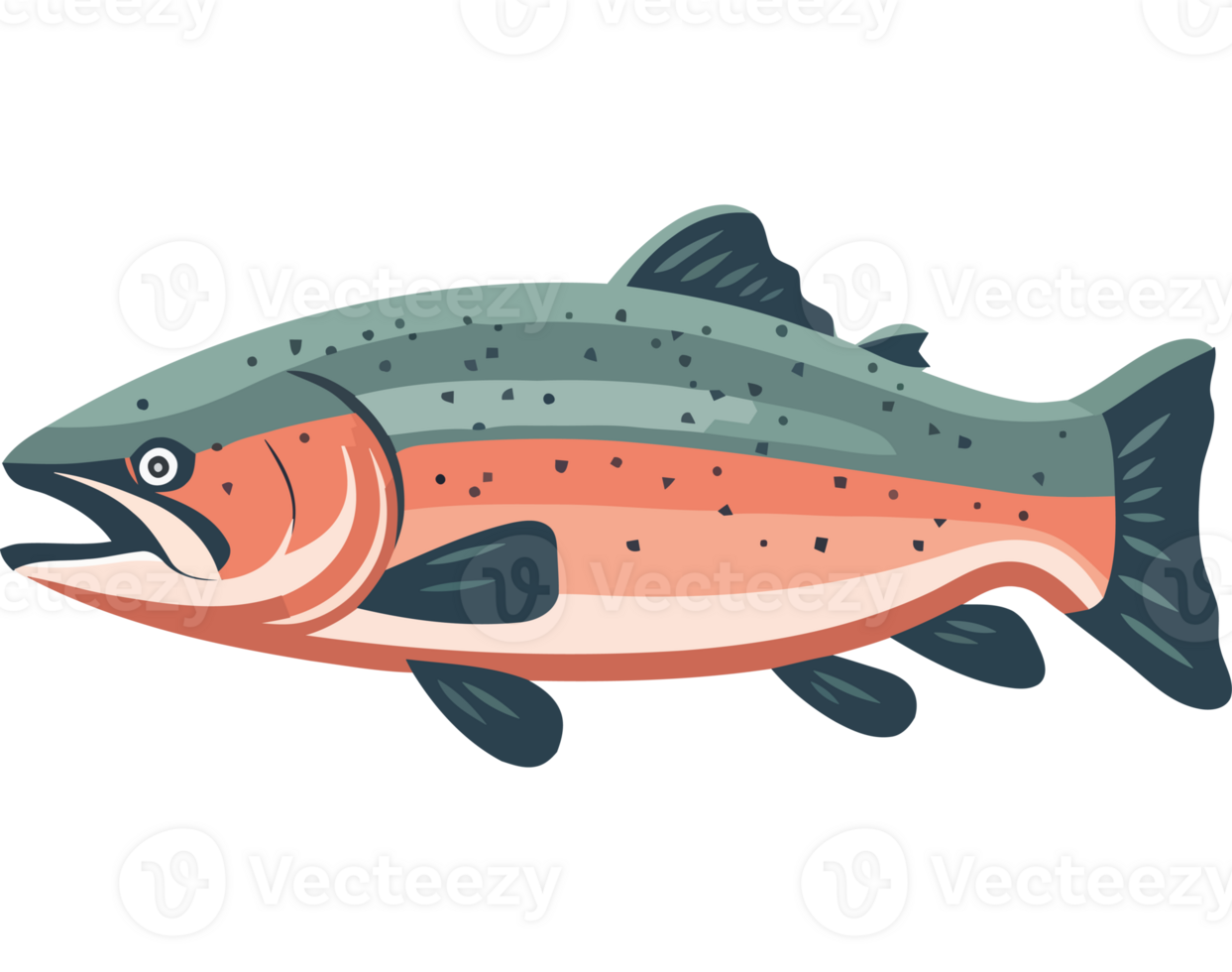 A rainbow trout on a black background png