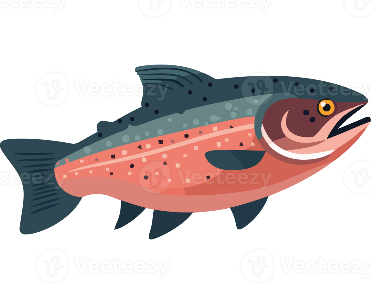 A rainbow trout on a black background png