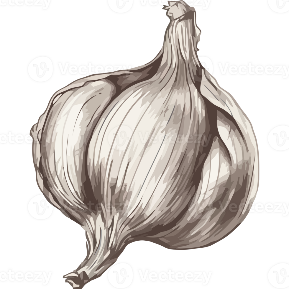 A garlic bulb on a black background png