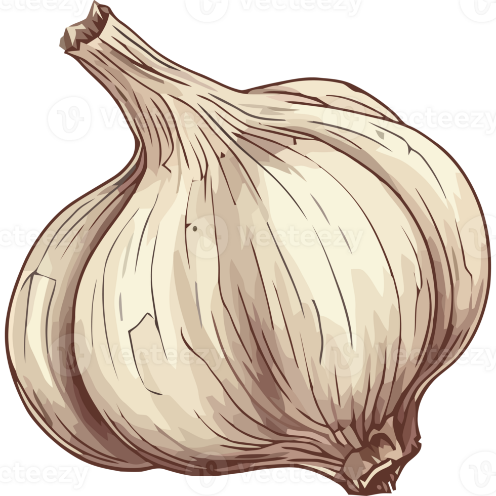 A garlic bulb on a black background png