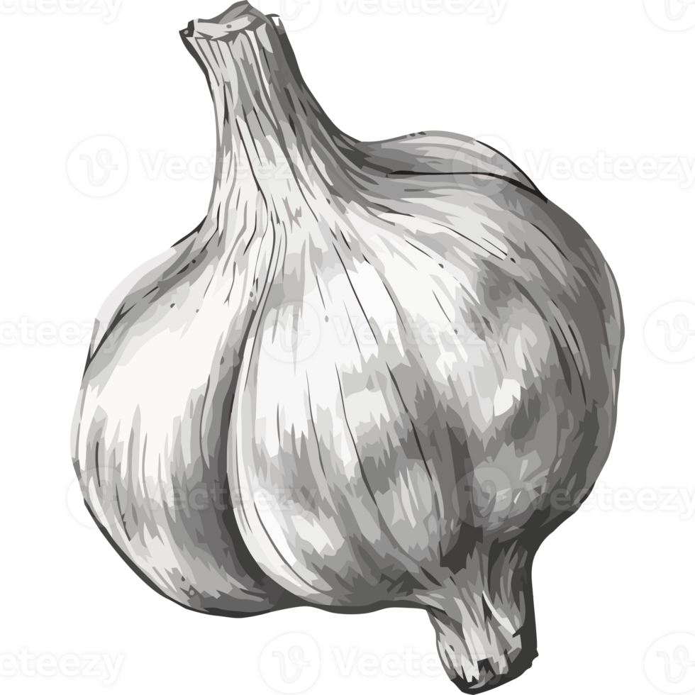 A garlic bulb is shown on a black background png