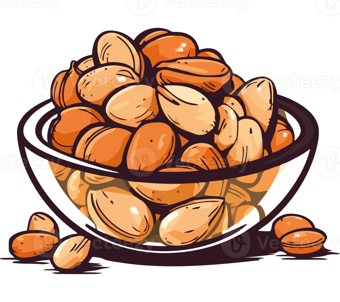 Almonds in a bowl illustration png