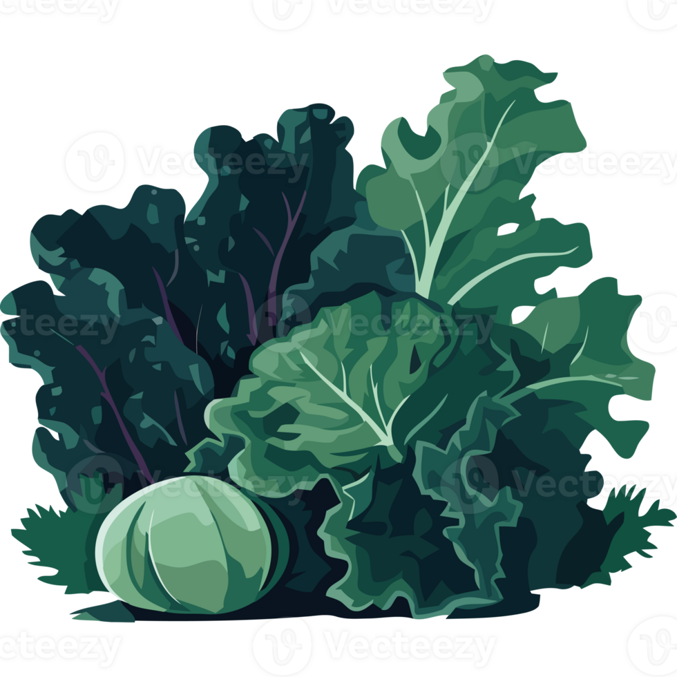 A bunch of green vegetables and a pumpkin png