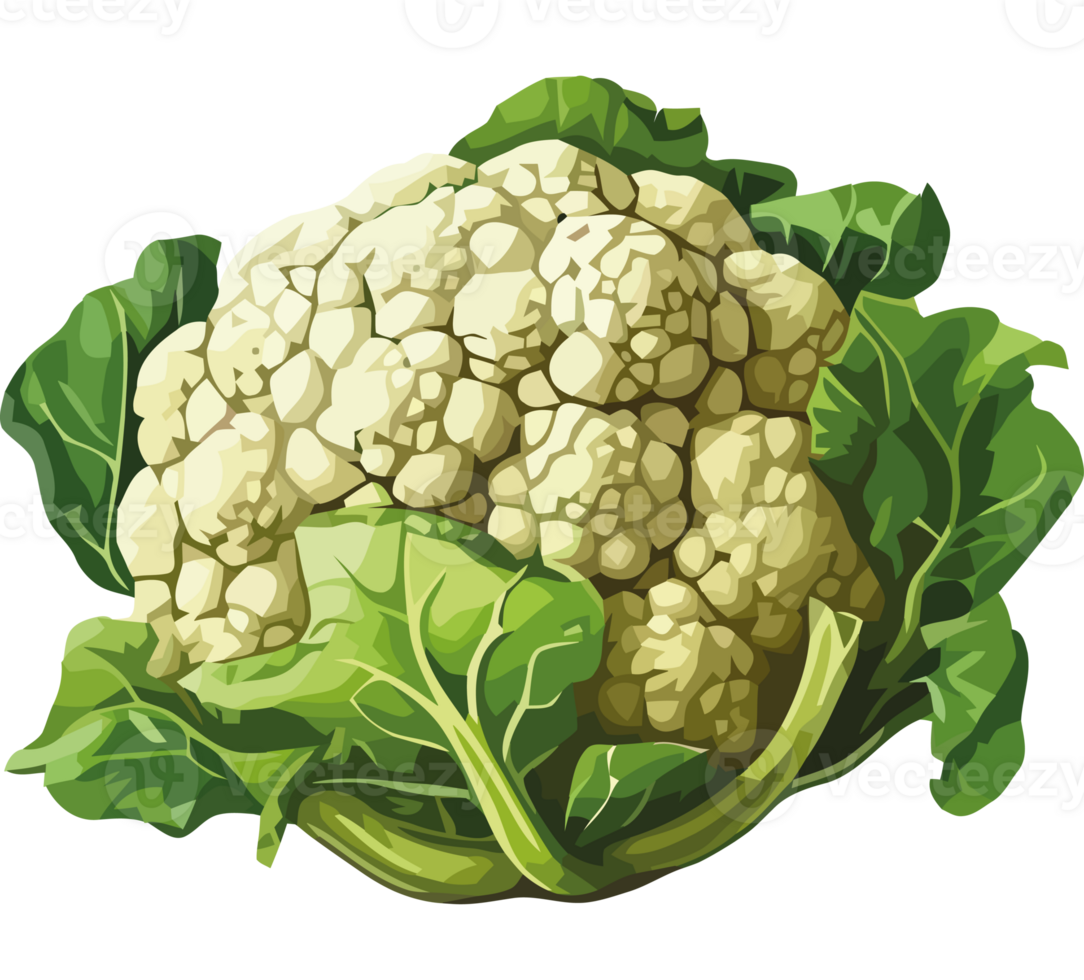 Cauliflower, cauliflower, cauliflower, cauliflower, cauliflower, cauliflower, png