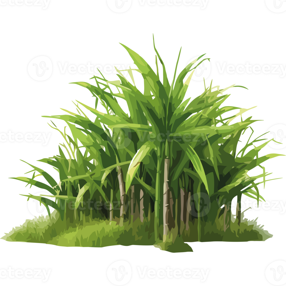 A cartoon illustration of a field of tall grass png