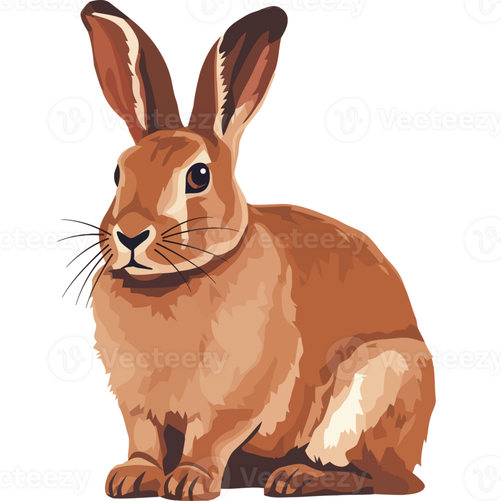 A brown rabbit sitting on a black background png