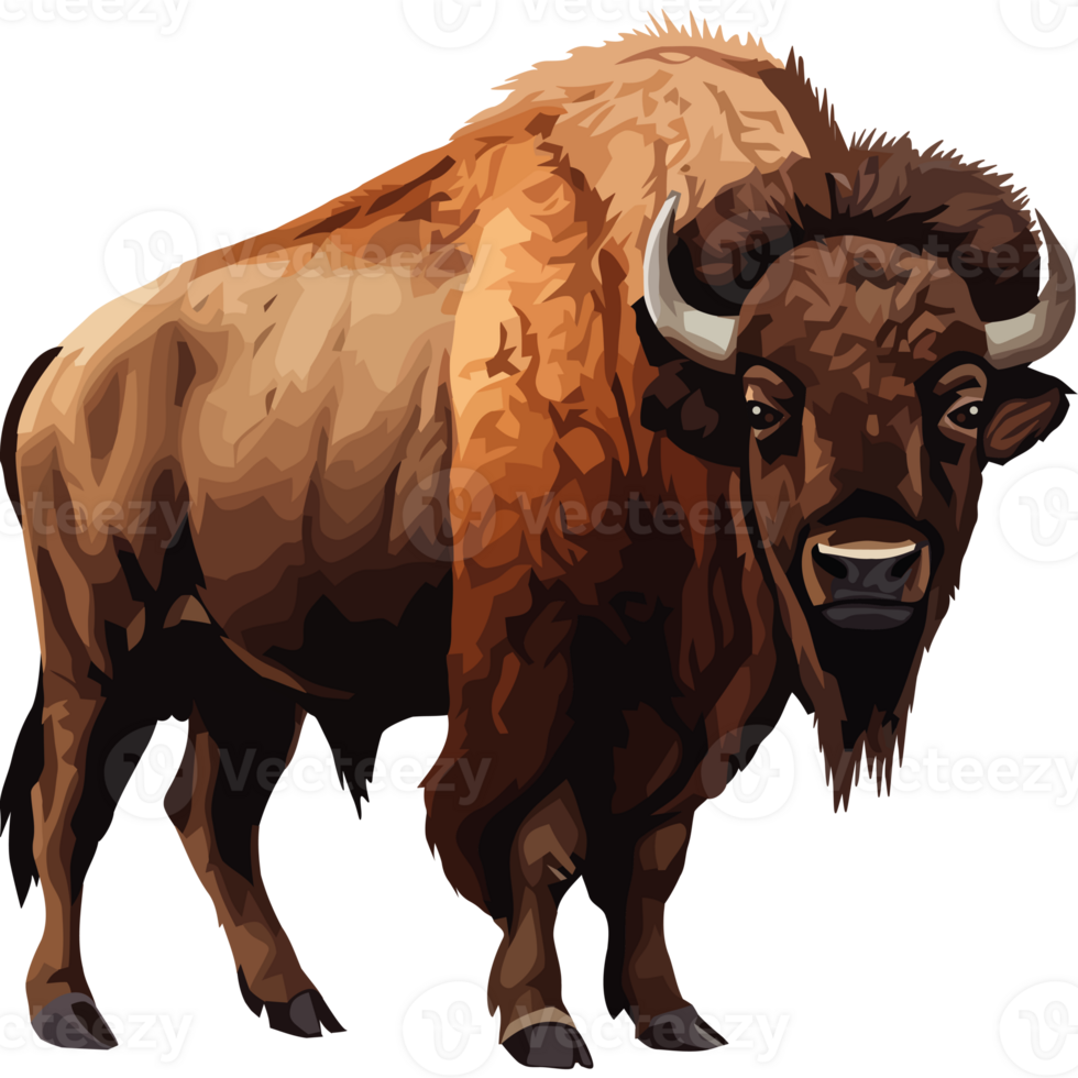 An illustration of a bison standing on a black background png