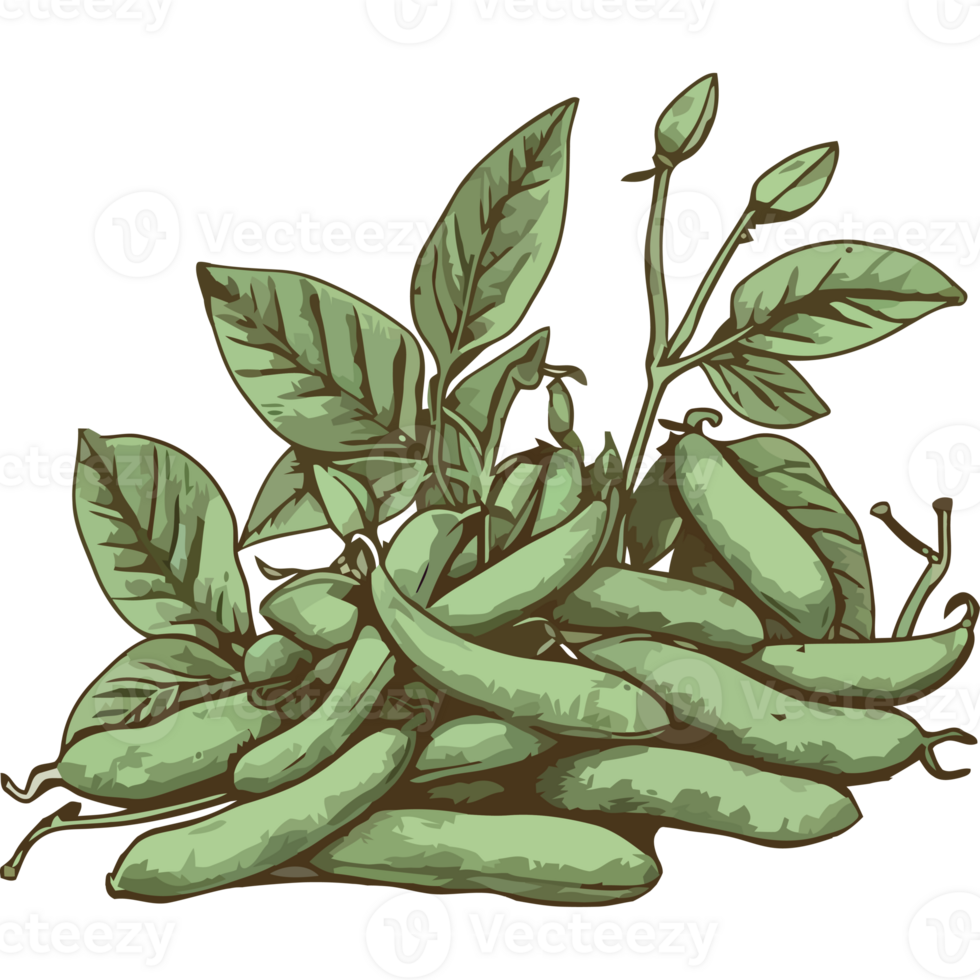 A bunch of green beans with leaves png