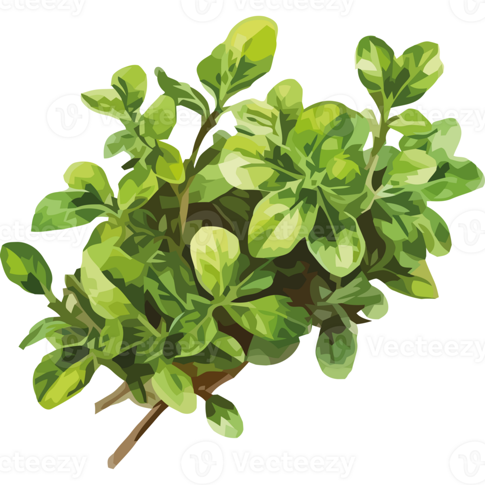 Green leaves on a black background png