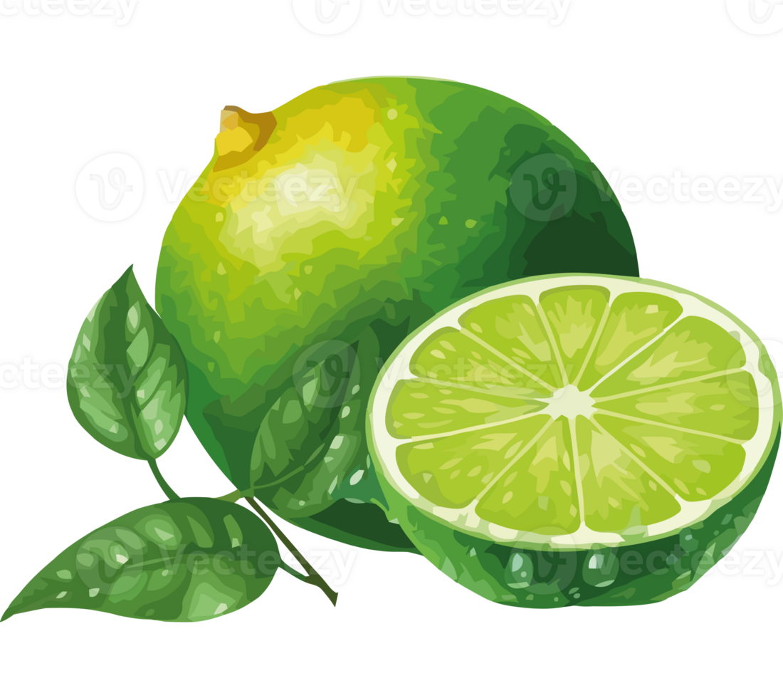 A lime and a half of it is shown png