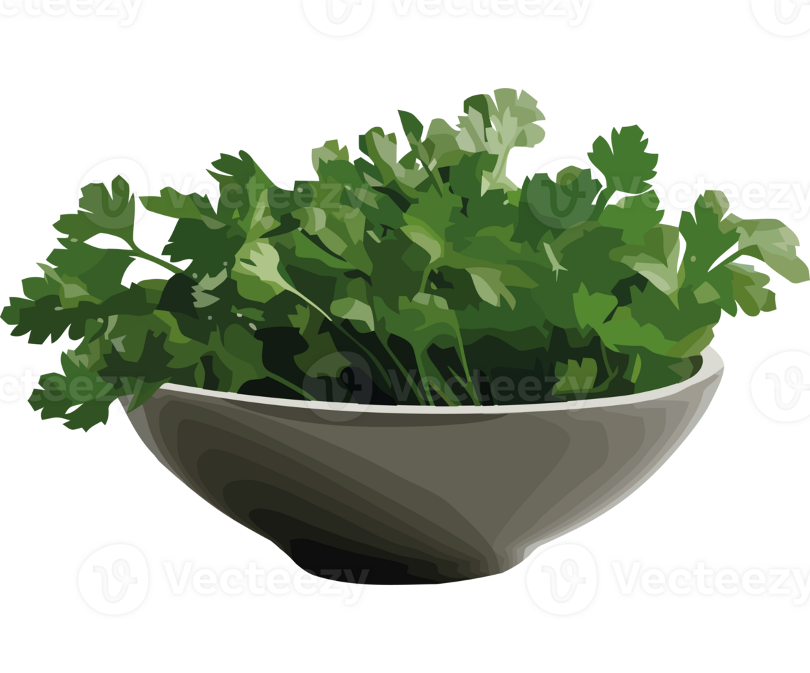 A bowl of fresh herbs on a black background png