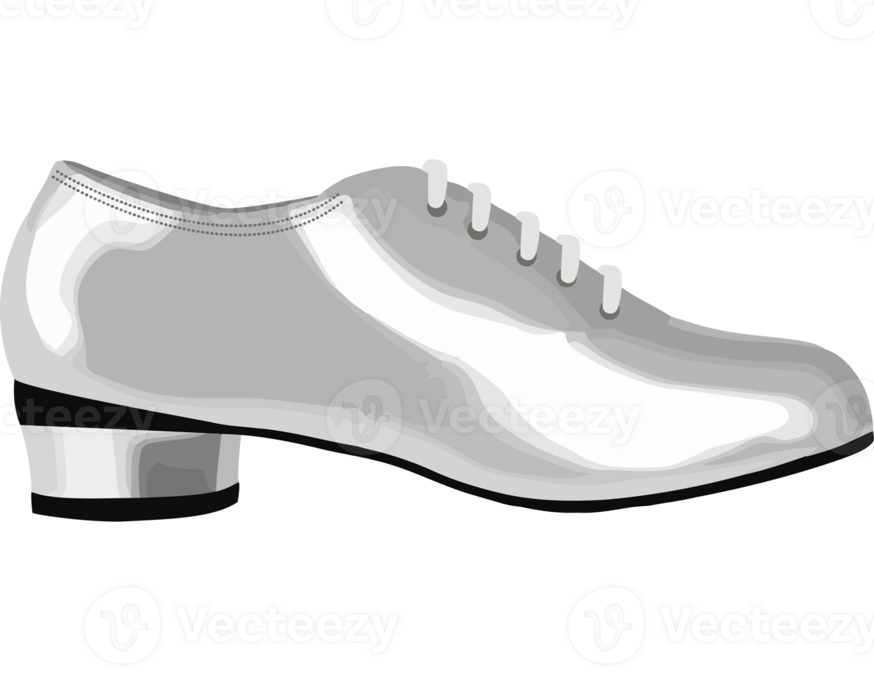 A silver shoe on a black background png