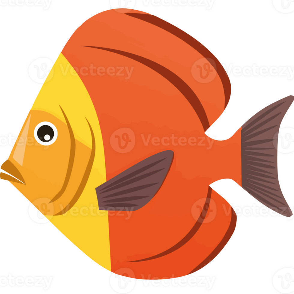An orange and yellow fish with black background png