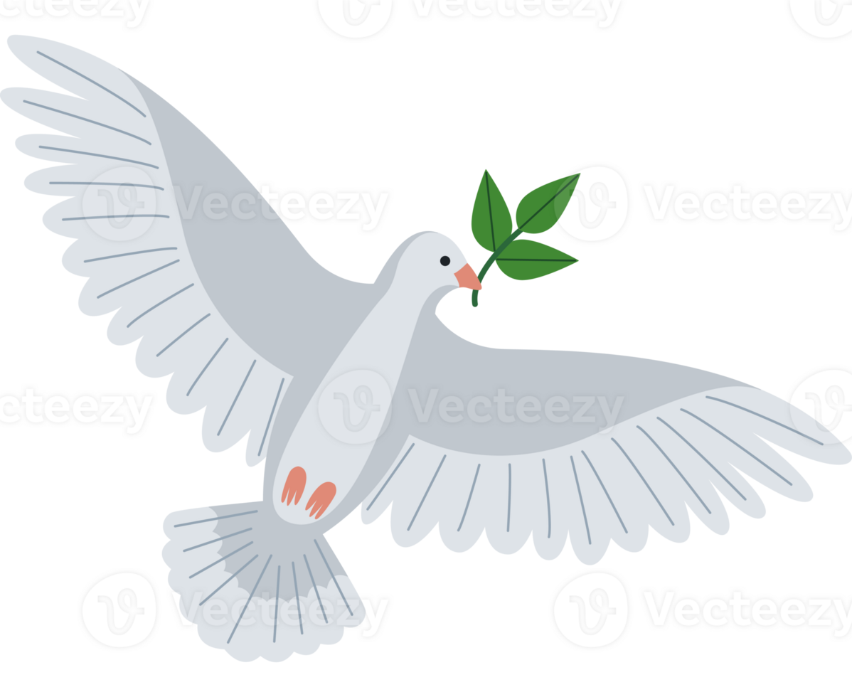 A white dove with a green leaf in its beak png