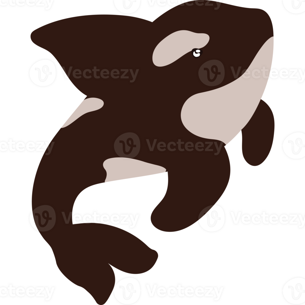 An orca whale with a black background png