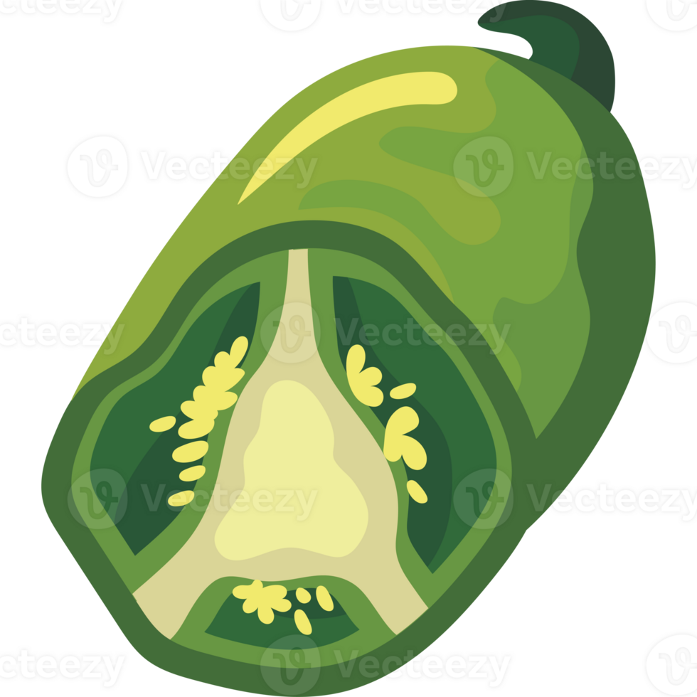 A green pepper with a cut in it png