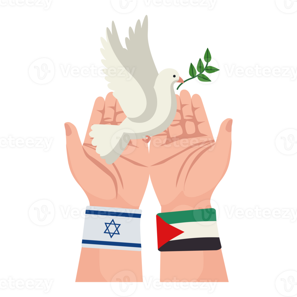 Two hands holding a dove with an olive branch in the middle png