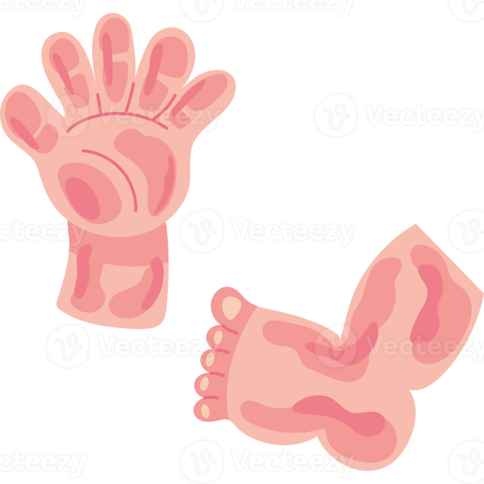 A cartoon hand and foot with a pink hand and foot png