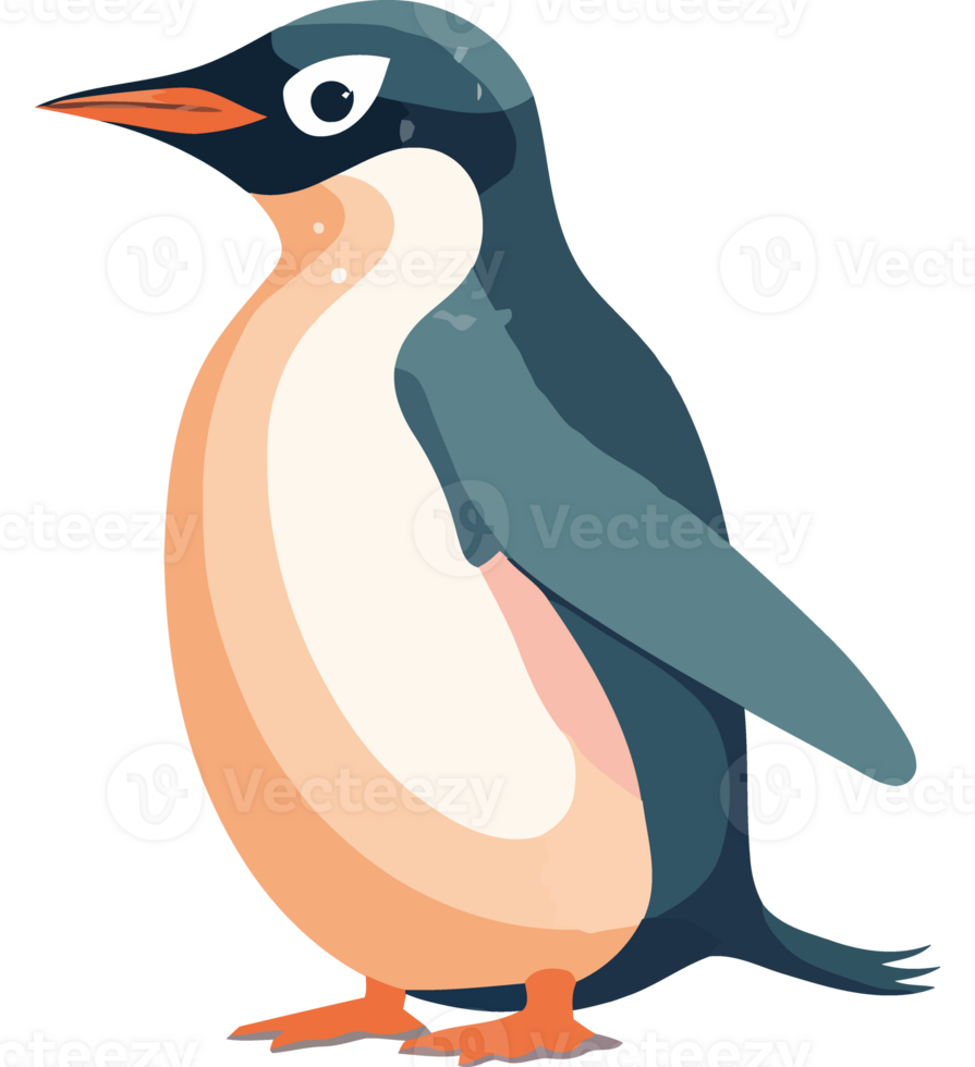 Penguin clip art png