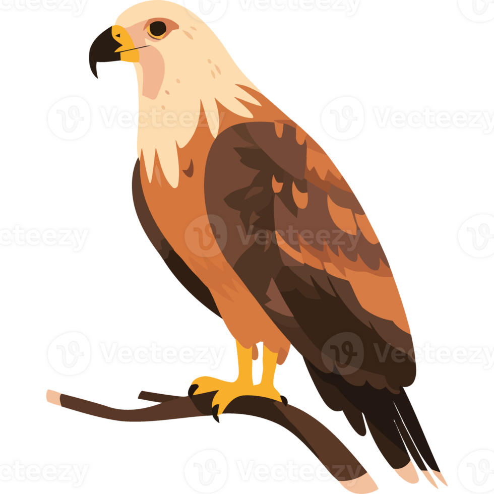 An illustration of an eagle sitting on a branch png